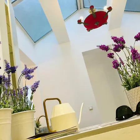 Golden Pearl - Jacuzzi Center Luxury Apartament *